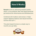 Load image into Gallery viewer, Renutrin Prebiotic Fiber