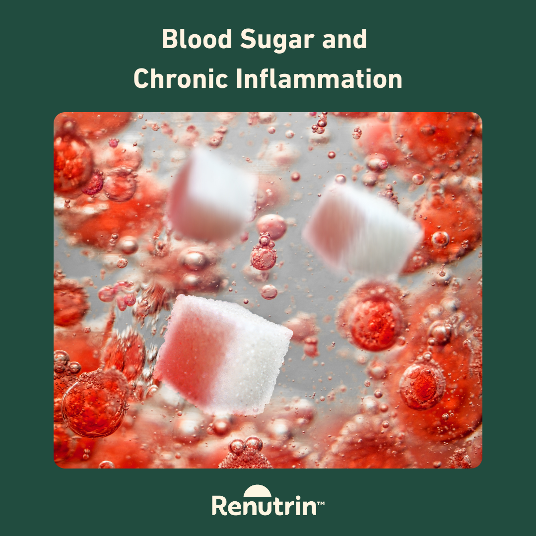 How High Blood Sugar Triggers Chronic Inflammation | Renutrin