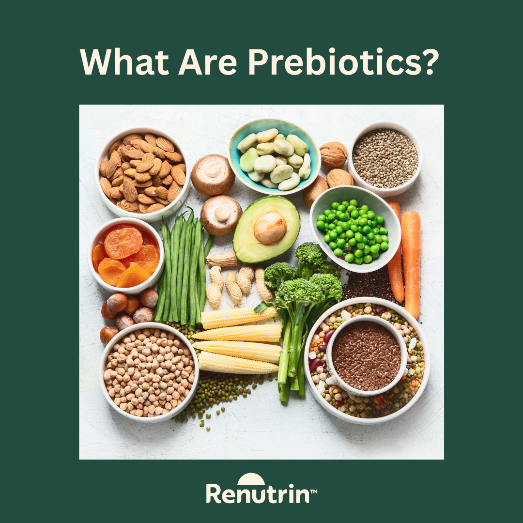 What Are Prebiotics and Why Do You Need Them | Renutrin