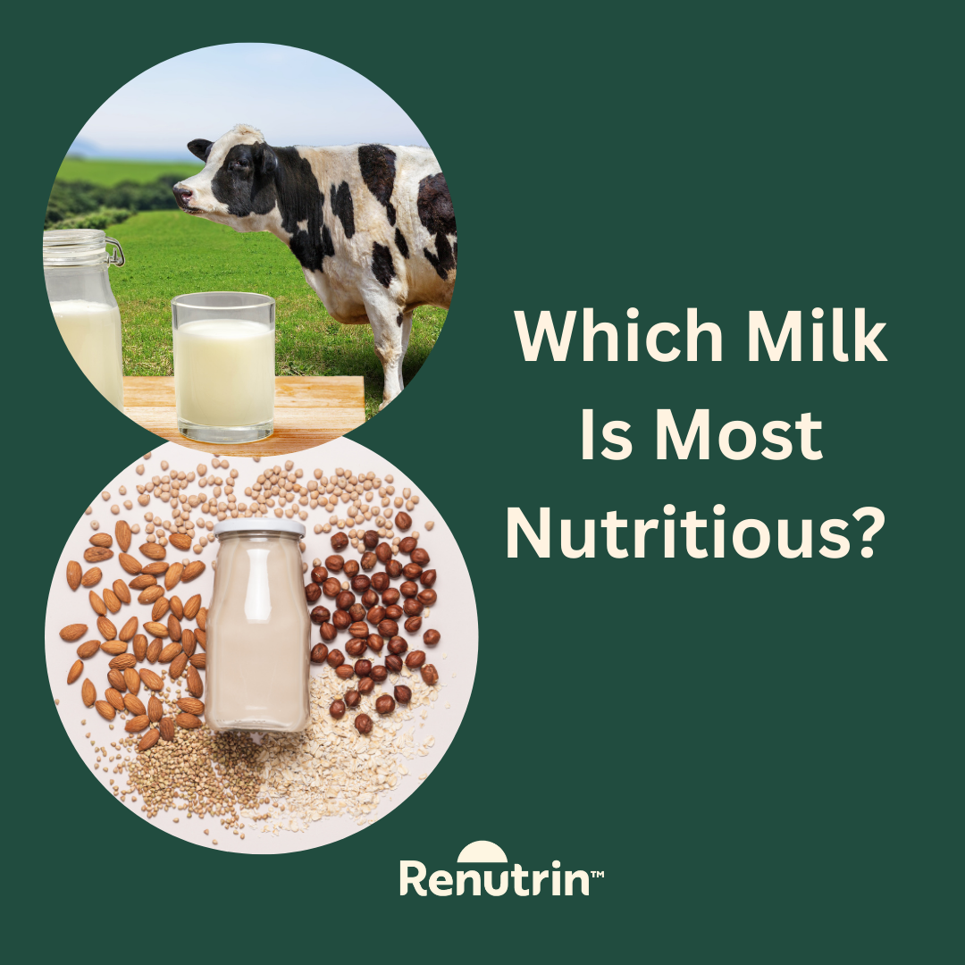 Plant-Based Milk vs. Cow's Milk?