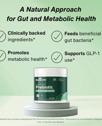 Renutrin Prebiotic Fiber - Single Bottle