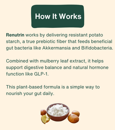 Renutrin Prebiotic Fiber