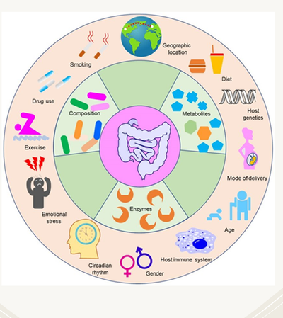 Personalized Nutrition Services for Gut and Metabolic Health: Package 1